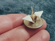 4th Apr 2023 - Teeny Tiny Origami Crane