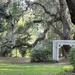 Nature’s wedding chapel.  The perfect place for the ceremony. by congaree