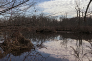 2nd Jan 2023 - Along the Rancocas Creek