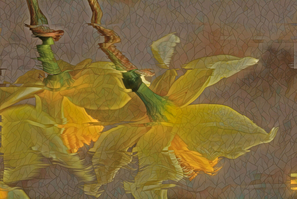 Daffodils fractured..... by ziggy77