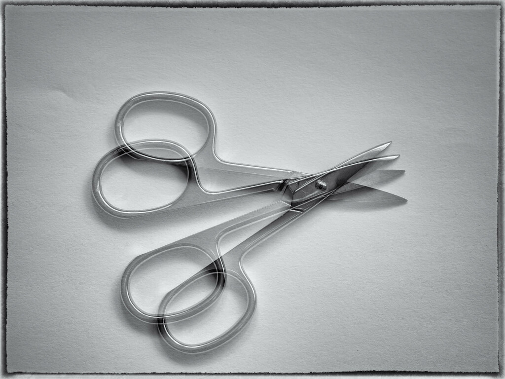 scissors 6 by haskar