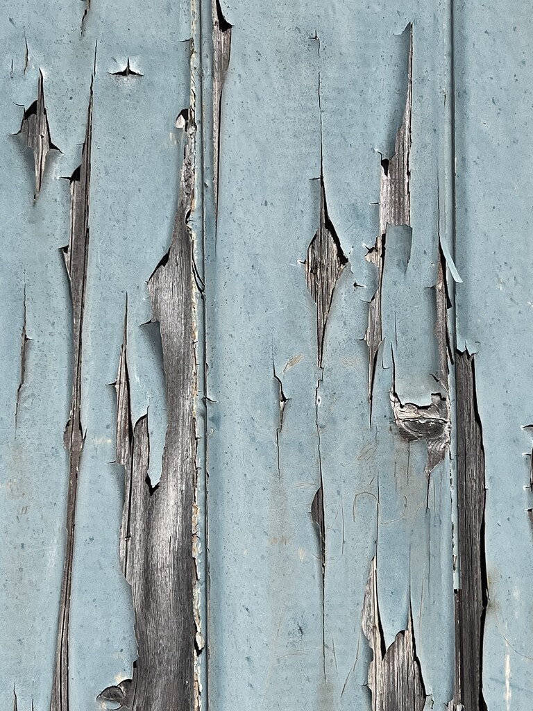 Peeling Paint  by keeptrying