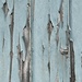 Peeling Paint  by keeptrying