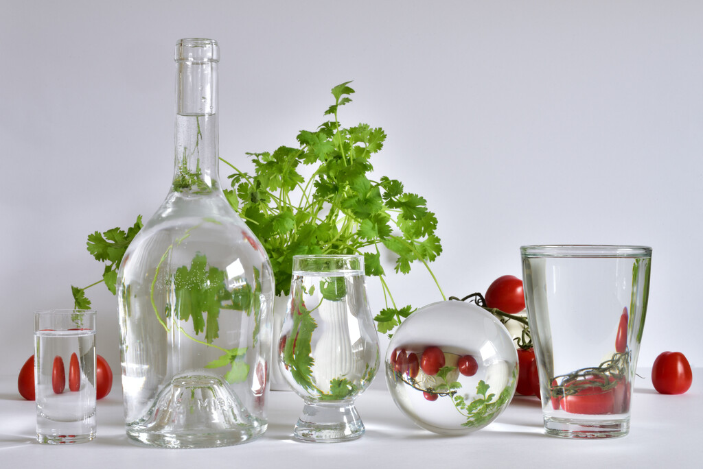 Still Life: Coriander and Tomatoes by clearlightskies