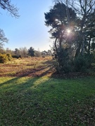 6th Apr 2023 - Neolithic horse sun bathing