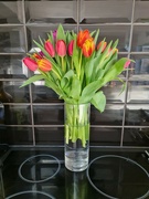 7th Apr 2023 - Easter tulips!