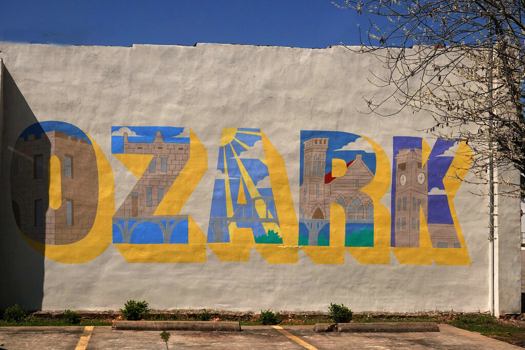 Ozark Street Art - Day 5 by milaniet