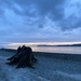 Dusk in Mukilteo  by clay88