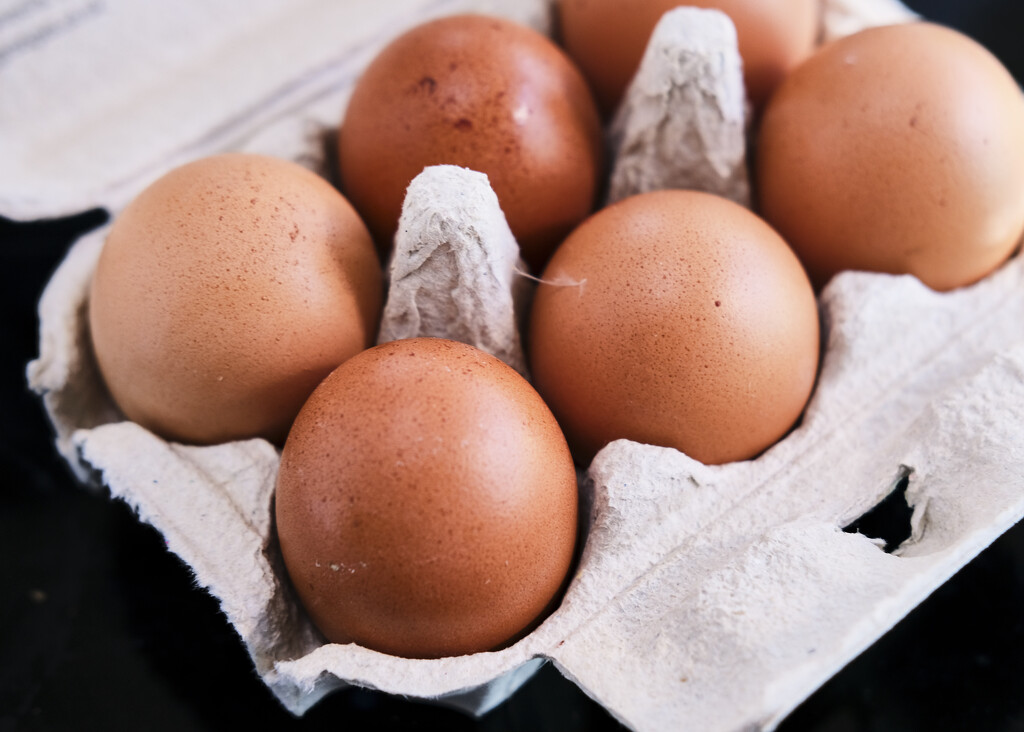 Eggs by kametty