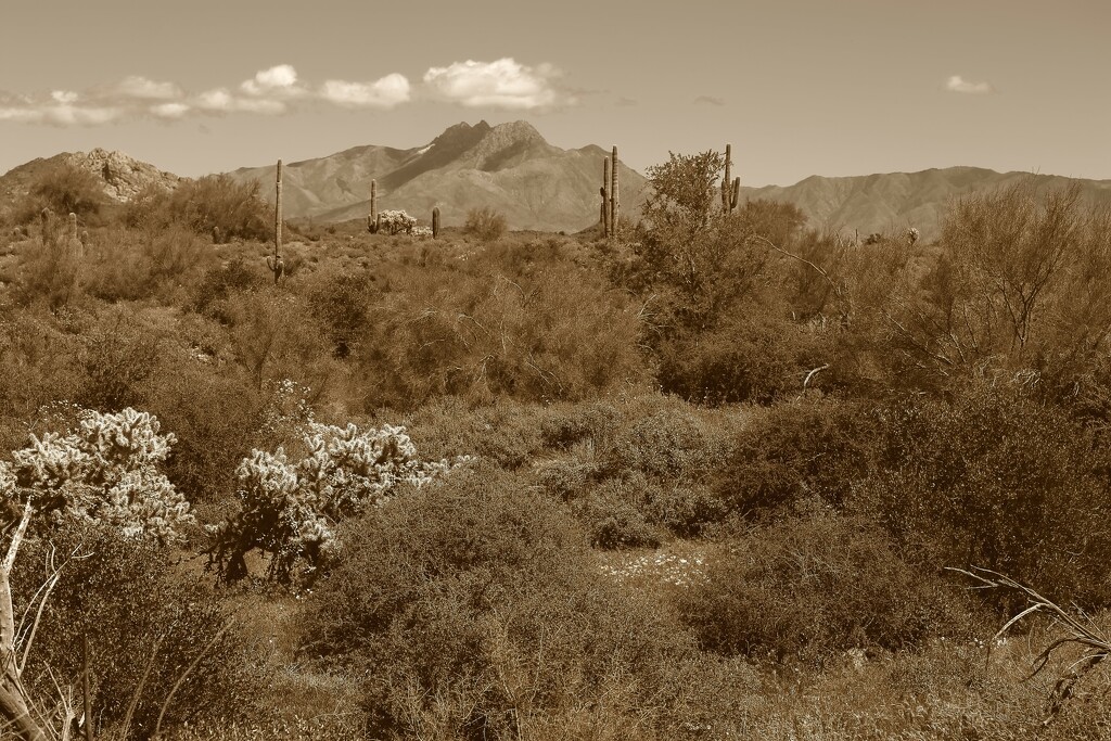 Superstition Mountains by blueberry1222