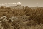 8th Apr 2023 - Superstition Mountains