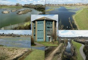 8th Apr 2023 - London Wetlands Centre