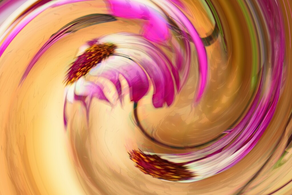 Senetti series:  Swirl............. by ziggy77