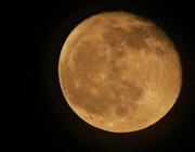 8th Apr 2023 - April Full Moon