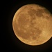 April Full Moon by radiogirl