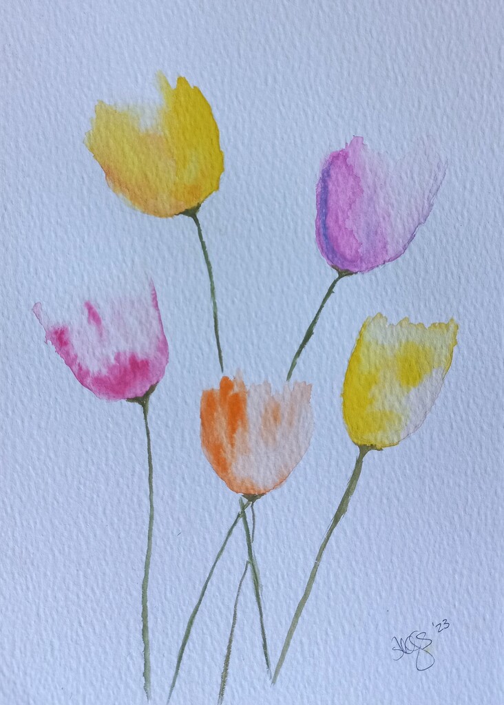Loose tulips  by artsygang