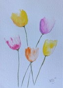 3rd Apr 2023 - Loose tulips 