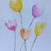 Loose tulips  by artsygang