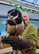 8th Apr 2023 - Spectacled owl 