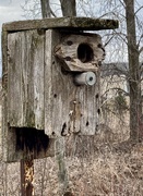 8th Apr 2023 - Rustic birdhouse