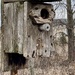 Rustic birdhouse by mltrotter