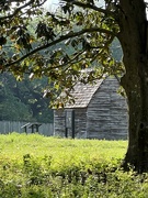 8th Apr 2023 - Early settler cabin, 1675 replica, Charles Towne Landing 