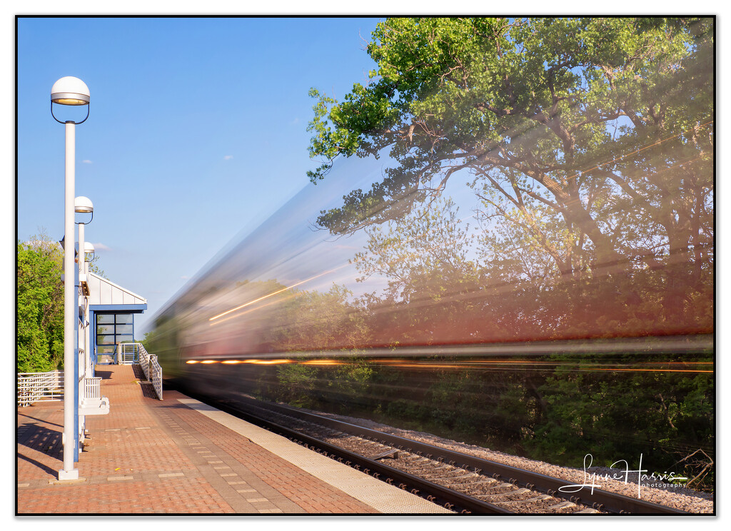 Speeding Train by lynne5477