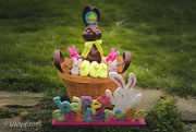 8th Apr 2023 - Happy Peep Easter 