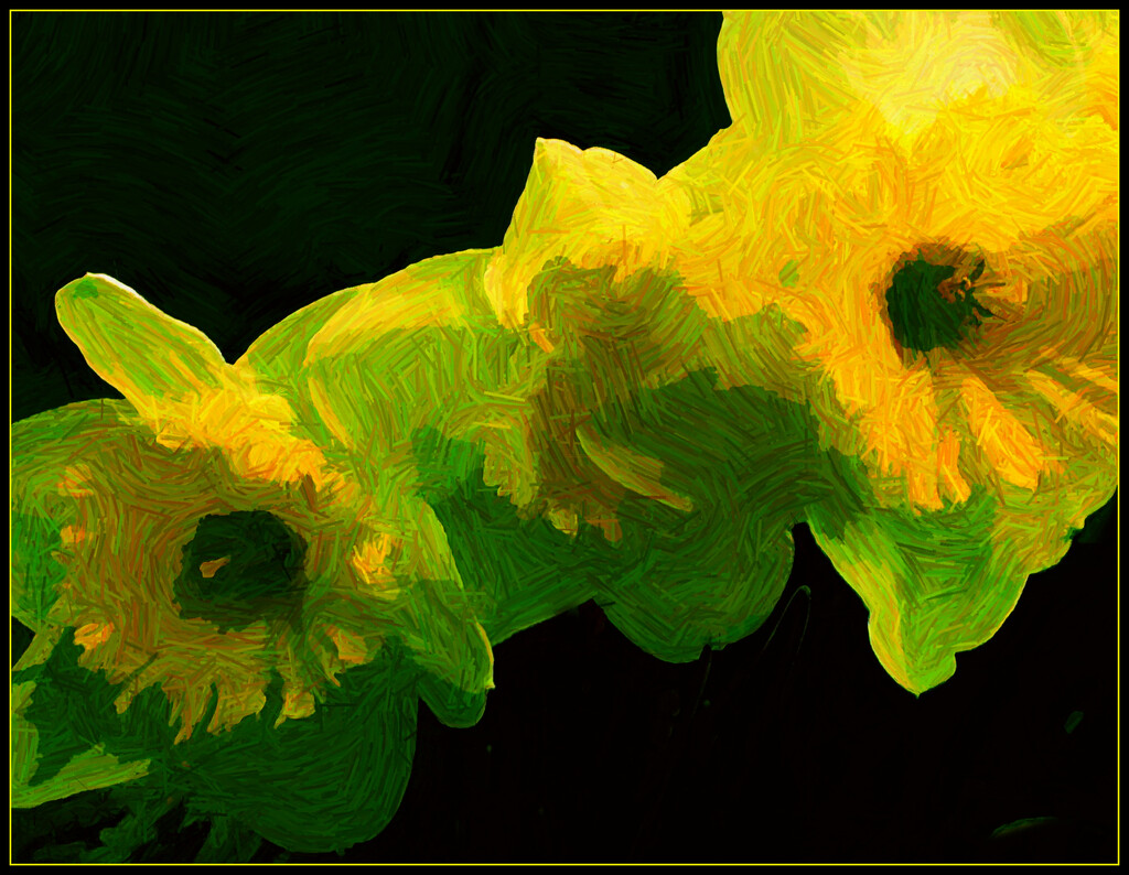 Daffodil Splash by olivetreeann
