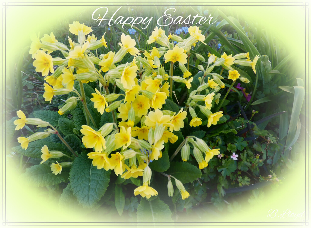 Happy Easter to you all. by beryl