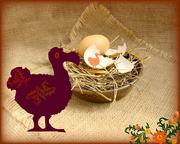 8th Apr 2023 - Eggs-periment - The Dodo .