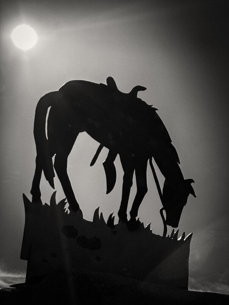 The Riderless Horse . . . . The Tom Mix Memorial by 365projectorgbilllaing