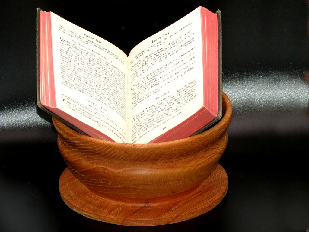 A Bowl and a Book by grammyn