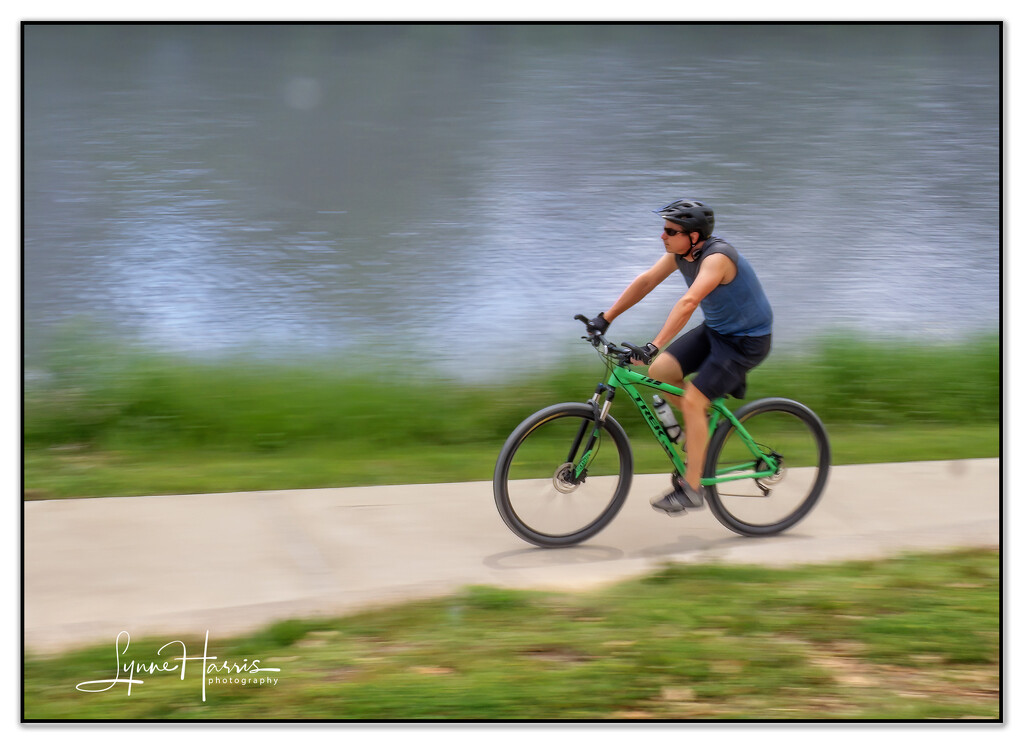 Exercise in Panning by lynne5477