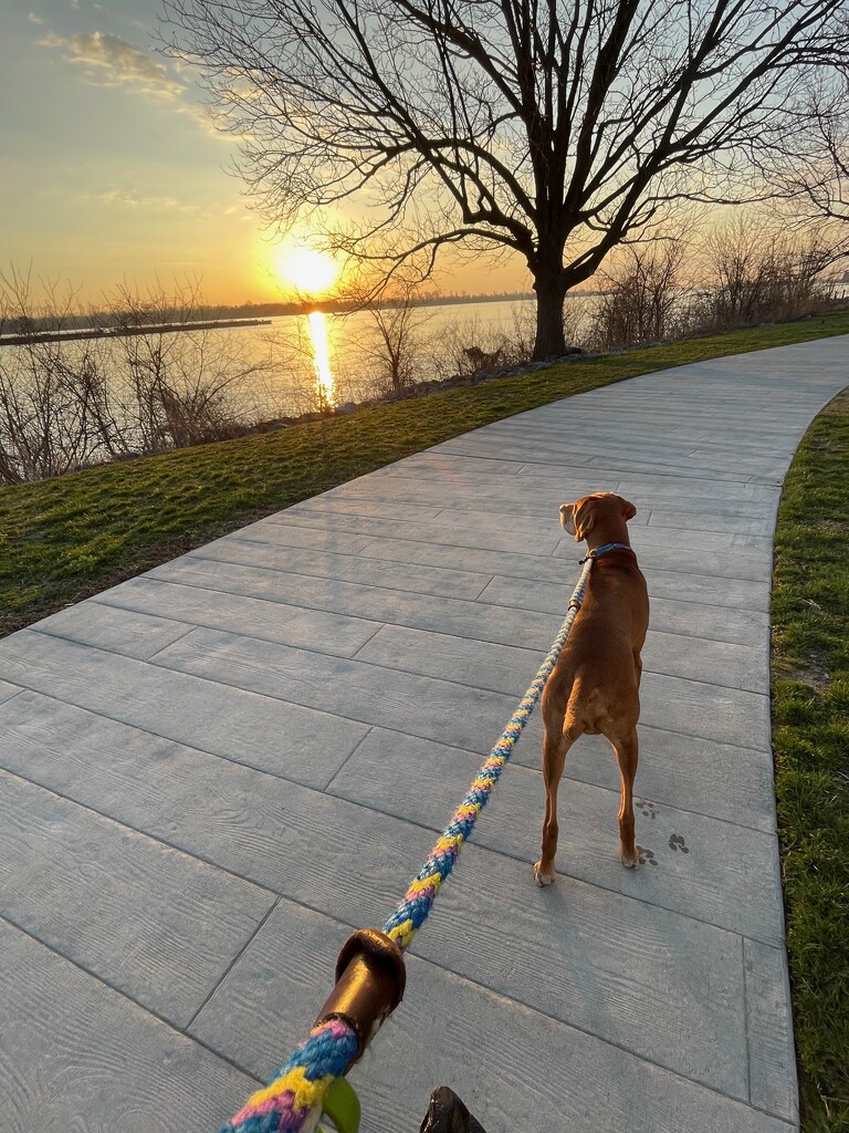Sunrise at the Ohio River by margonaut