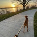 Sunrise at the Ohio River by margonaut