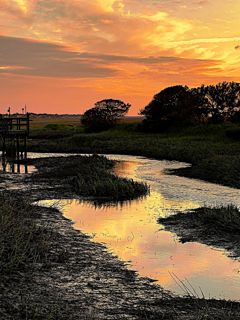 Marsh sunset by congaree