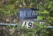 9th Apr 2023 - Beware 19