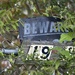 Beware 19 by metzpah