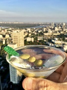 9th Apr 2023 - A Bangkok martini with a view. 