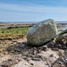 The Devil's Stone on Arbigland Beach by samcat