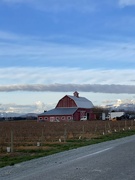 7th Apr 2023 - Skagit County Red Barn