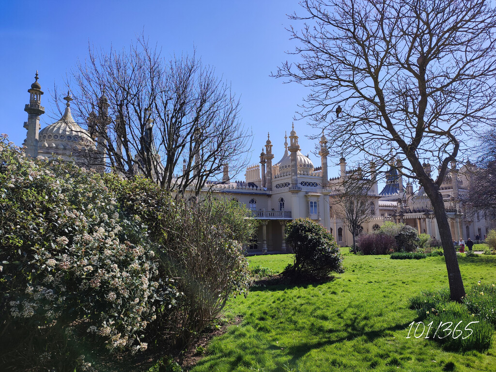 The Royal Pavilion of Brighton hidden between the bushes by franbalsera