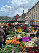 9th Apr 2023 - Flowers market. 