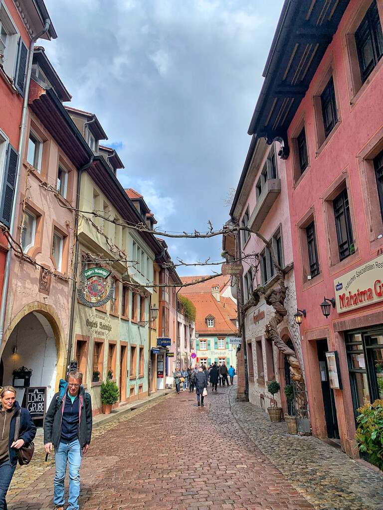 Street of Freiburg im Brisgau, Germany.  by cocobella