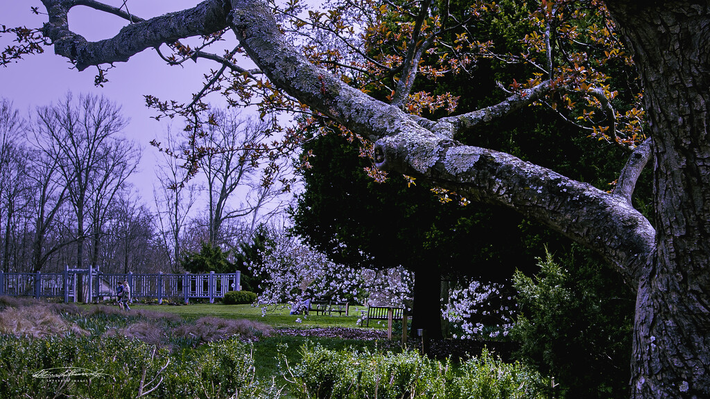 Cropped - View of Herb Garden toward entrance by ggshearron
