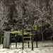 Outdoor gym in the woods