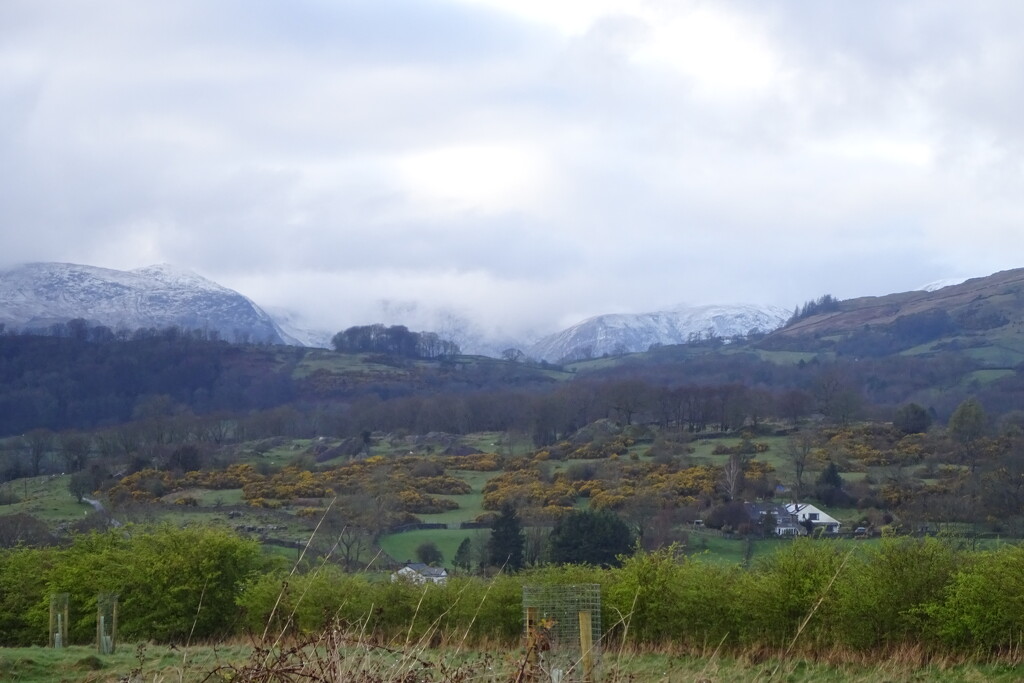 snow on the tops by anniesue