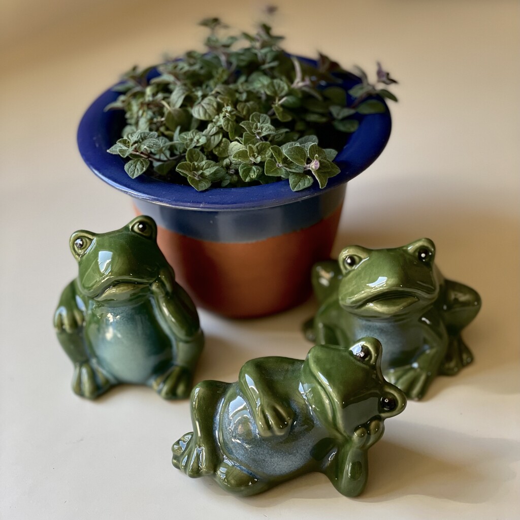 Three Frogs Waiting for the Garden by eahopp