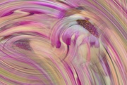 14th Apr 2023 - Senetti series:  swirls abstract #3